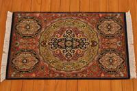 Rug Picture