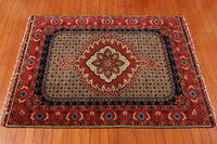 Rug Picture