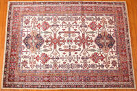 Rug Picture