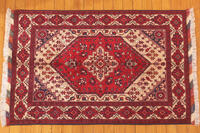 Rug Picture
