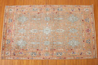 Rug Picture